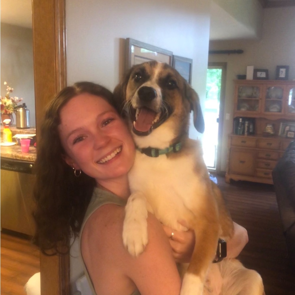 Meet your Posher, Ally